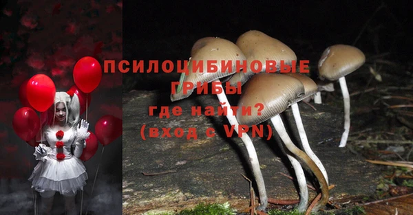 мескалин Майский